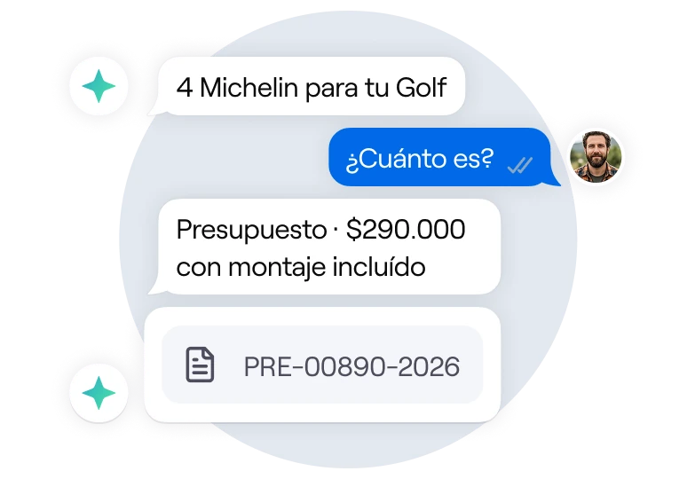 Ejemplo: Presupuesta neumáticos