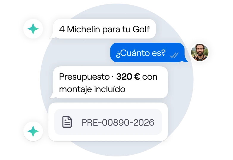 Ejemplo: Presupuesta neumáticos